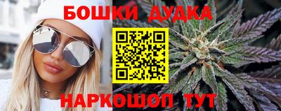 мдпв Славгород