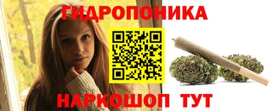 мдпв Славгород