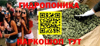 мдпв Славгород