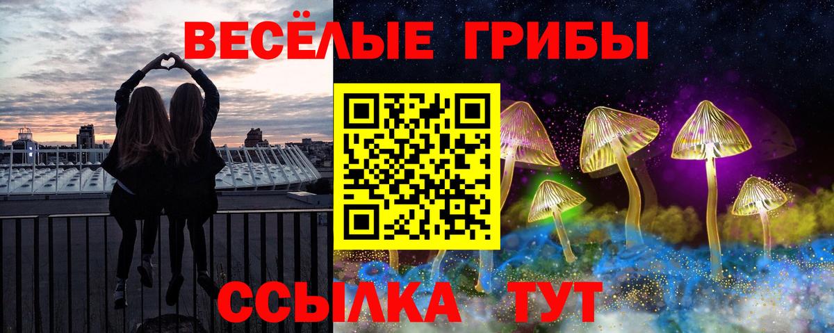 Полевской  Галлюциногенные грибы Psilocybine cubensis  Вход с VPN 
