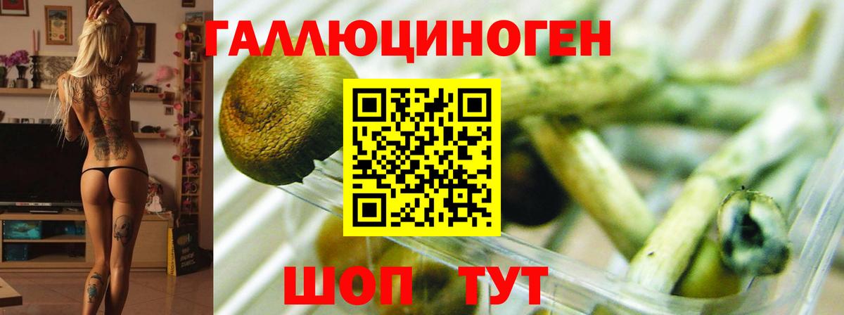 Галлюциногенные грибы MAGIC MUSHROOMS Полевской